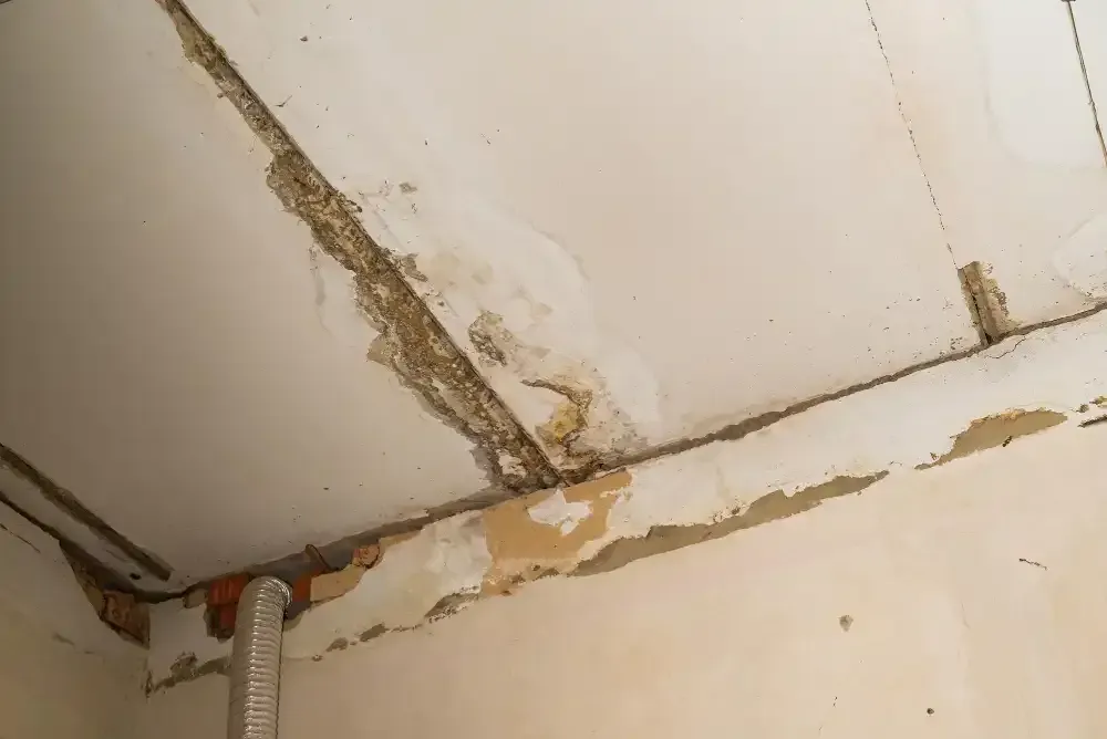 Ceiling Drywall Repair